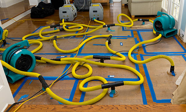 Professional Water Extraction technician working in Cleveland, TX